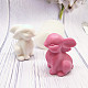 Rabbit DIY Candle Silicone Molds CAND-PW0001-058-1