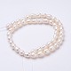 Natural Cultured Freshwater Pearl Beads Strands PEAR-P002-55-01-2