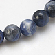 Natural Sodalite Beads Strands G-E110-12mm-3-1