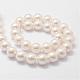 Shell fili di perle perline BSHE-L026-03-14mm-2