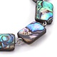 Set di gioielli in conchiglia di abalone naturale/conchiglia di paua SJEW-JS00998-3