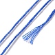 10かせ 6層ポリエステル刺繍フロス  クロスステッチの糸  セグメント染め  スチールブルー  0.5mm  約8.75ヤード（8m）/かせ OCOR-K006-A21-3