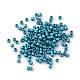 Baking Paint Cylinder Seed Beads SEED-R041-11-2