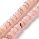 Natural Cultured Freshwater Shell Beads Strands SHEL-F002-01-2