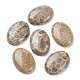 Natural Fossil Coral Cabochons G-J329-20-18x25mm-4