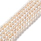 Chapelets de perles de nacre naturell PEAR-E018-99-1