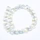 Electroplate Glass Beads Strands EGLA-F133-FR04-2