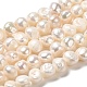Natural Cultured Freshwater Pearl Beads Strands PEAR-E017-18-1