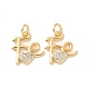 Rack Plating Brass Micro Pave Clear Cubic Zirconia Charms ZIRC-C042-03G-2