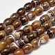 Dyed Barrel Natural Agate Bead Strands G-M285-10-2