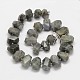 Faceted Natural Labradorite Nuggets Bead Strands G-M239-56-2