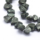 Natural Seraphinite Beads Strands G-K223-13-3