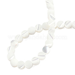 Fili di perline di conchiglia trochus naturale&nbsp;SSHEL-N034-165