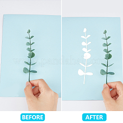 Чувствительная к солнцу бумага для печати&nbsp;DIY-WH0028-50