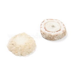 Грубые необработанные бусины из натурального друзы агата&nbsp;G-H254-06