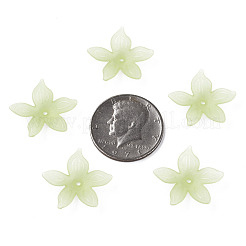 Прозрачные акриловые бусины&nbsp;MACR-S373-127-D06