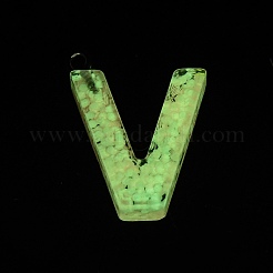 Leuchtenden Harz Anhänger&nbsp;X1-RESI-I059-V01