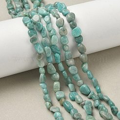 Природных амазонит бисер нитей&nbsp;X-G-F521-25