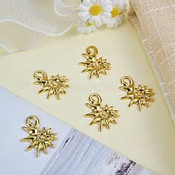 5 pendentif en acier inoxydable 304&nbsp;STAS-SZ0003-60