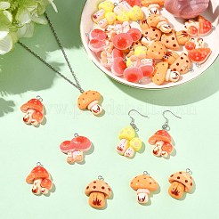 30pcs 5 styles de pendentifs en résine&nbsp;RESI-CJ0005-20