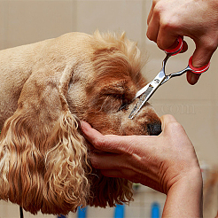 30 шт. 15 цвета мягкие силиконовые ножницы кольца для пальцев&nbsp;SIL-GF0001-17