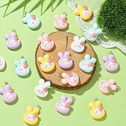 25 pendentif animal en résine opque de 5 couleurs.&nbsp;RESI-CJ0003-76