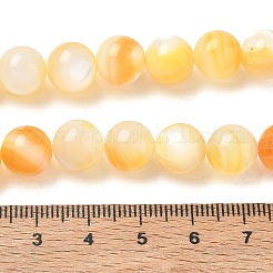 Naturali giallo perline shell fili&nbsp;SH-CBACA76-16C