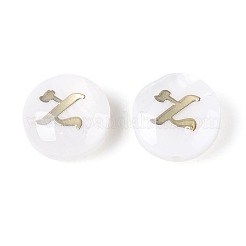 Perles de coquillages naturels d'eau douce&nbsp;BSHE-ZX007-03D