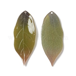 Подвески из непрозрачной смолы&nbsp;RESI-L035-03