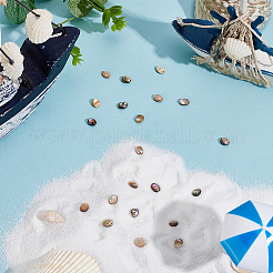 1 нить бусин из натуральной ракушки пауа BSHE-ME0001-05