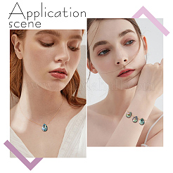 8 шт. бусины из натуральной ракушки абалон/ракушки пауа&nbsp;SHEL-HY0001-18