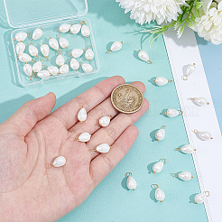 40 шт. Подвески из натуральных ракушек&nbsp;PALLOY-NB00015