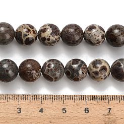 Нити бусин из натурального астроита и яшмы&nbsp;LS-G-H329-C02-10mm