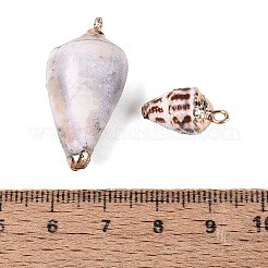 Pendentifs en spirale naturelle galvanoplastie&nbsp;SSHEL-Q100-43G