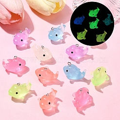 12шт 6 цвета светящиеся полупрозрачные подвески из смолы&nbsp;RESI-YW0001-85