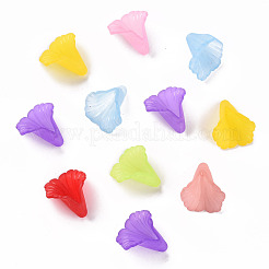 Прозрачные колпачки акриловая бисера&nbsp;PL551M