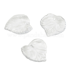 Прозрачные акриловые подвески&nbsp;TACR-TA0001-01