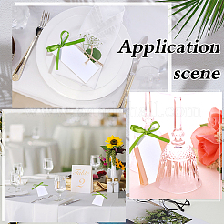 100 Set leere Geschenkanhänger aus Papier&nbsp;CDIS-ME0001-02D