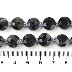 Натуральные нити бус из ларвикита G-C116-A45-01