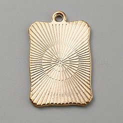 Подвески из эмали и сплава ENAM-WH0064-24I