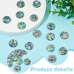 12 шт. кабошоны из натуральной ракушки пауа&nbsp;FIND-WR0011-79A