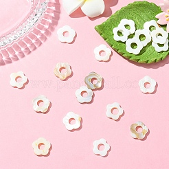 20шт. Рамки из пресноводных ракушек&nbsp;SHEL-YW0001-08