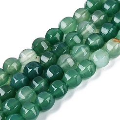 Chapelets de perles en agate d'onyx vert naturel&nbsp;G-Q608-08A-03