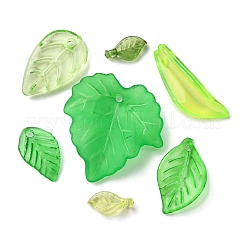 210шт 7 стиля прозрачные акриловые подвески&nbsp;TACR-FP0001-07