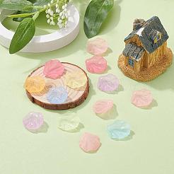 Прозрачные матовые акриловые подвески&nbsp;X-MACR-S371-01A