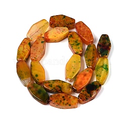 Naturelles multicolores perles d'agate brins&nbsp;G-Q606-73