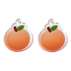 Полупрозрачные акриловые подвески&nbsp;TACR-N013-011