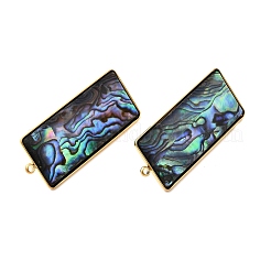 Фурнитура для сережек-гвоздиков из нержавеющей стали 304 с натуральными ракушками пауа&nbsp;STAS-Z125-04G