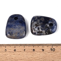 Natürliche Lapislazuli Anhänger&nbsp;G-N362-06B
