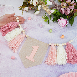 Баннеры с кисточками из плетеного хлопка в стиле богемы&nbsp;AJEW-WH0752-049B